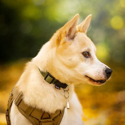 梅田　紫邑が撮影したその他の写真