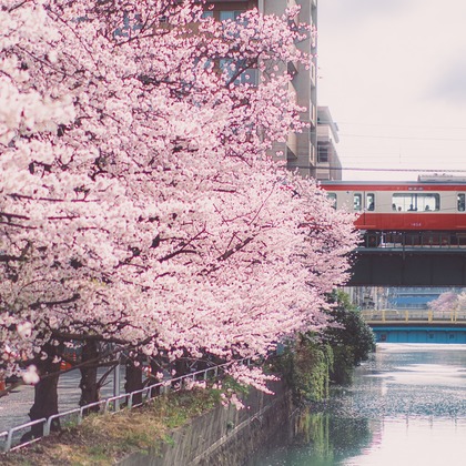 堀内 陽希が撮影したイベント/スナップ撮影の写真