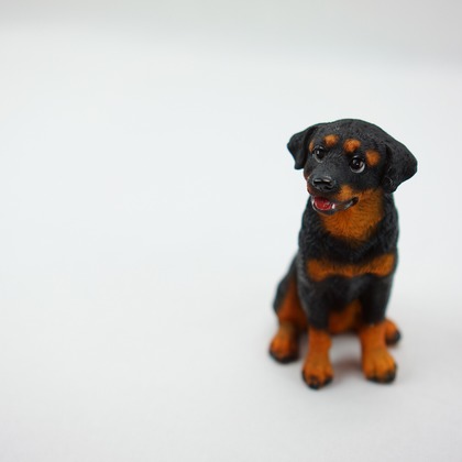 出張撮影のメモリーズが撮影した「宣材-アラカルト」の写真