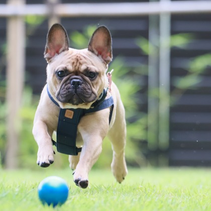 外川博己が撮影したその他の写真