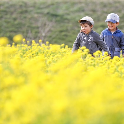 Keiko Yuzawaが撮影した家族写真の出張撮影の写真