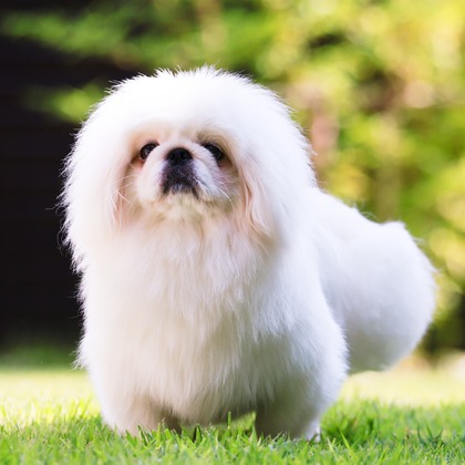 外川博己が撮影したその他の写真