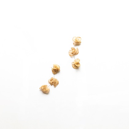 安藤栞里が撮影した商品/物撮りの写真