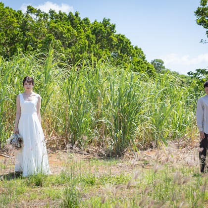 山口写真事務所が撮影した「:albumName」の写真