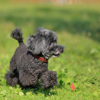 菊原浩司が撮影した「:albumName」の写真