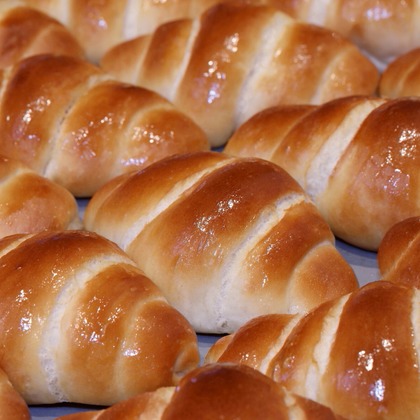 森安　照が撮影した「:albumName」の写真