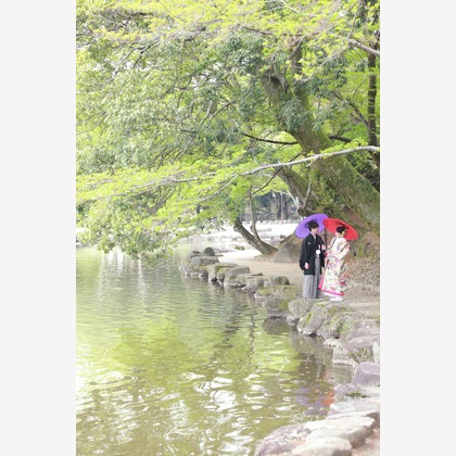 Kaoru Photographyが撮影した「:albumName」の写真