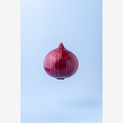 Hiroが撮影した「スタジオ、出張撮影」の写真