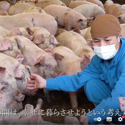 Castella Designが撮影した動画撮影の写真