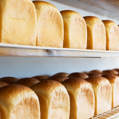 Ryuukiが撮影したウェディングや家族、ビジネスの写真