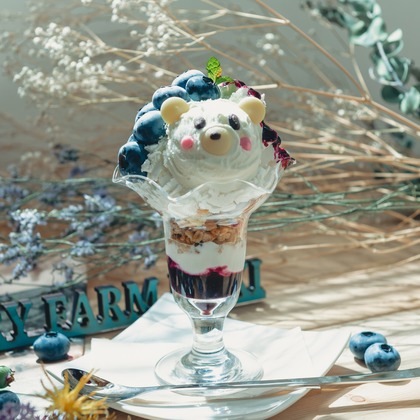 PhotoStudioLink　福井アイラが撮影した料理撮影の写真