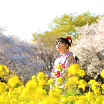 Photographer  Tomoが撮影した「:albumName」の写真