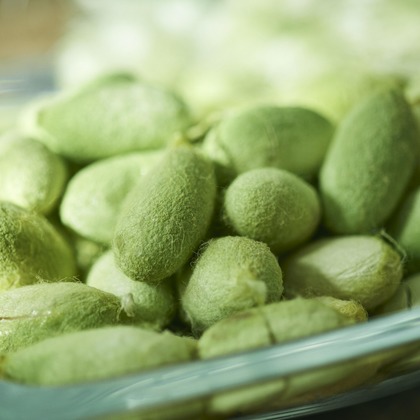 大橋裕紀が撮影した商品/物撮りの写真