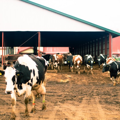 神部葵が撮影したイベント/スナップ撮影の写真