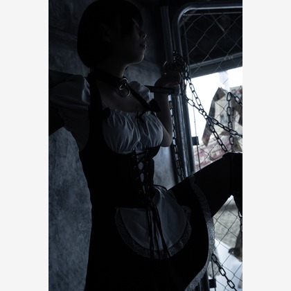 Kosaku Tanakaが撮影した「:albumName」の写真