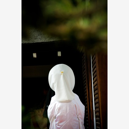 photo office zk (善家 完)が撮影した「:albumName」の写真