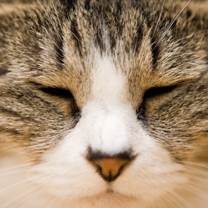 堀勝志古写真事務所が撮影したウェディングや家族、ビジネスの写真