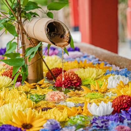 高木勇斗が撮影したその他の写真