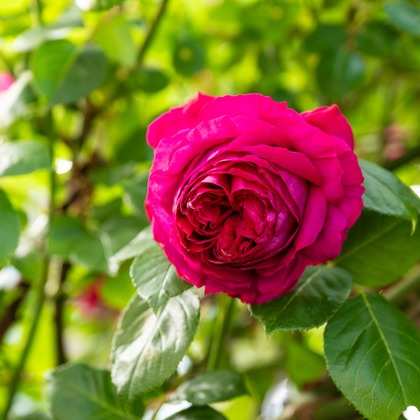 オフィス 芦野が撮影した「:albumName」の写真