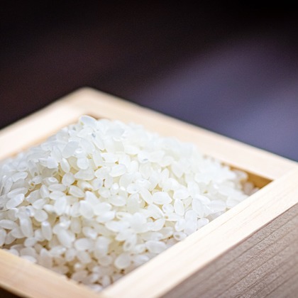 内藤駿介が撮影した「:albumName」の写真