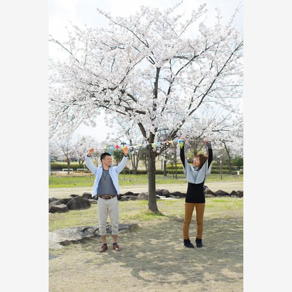 studio HATOYAが撮影した「:albumName」の写真