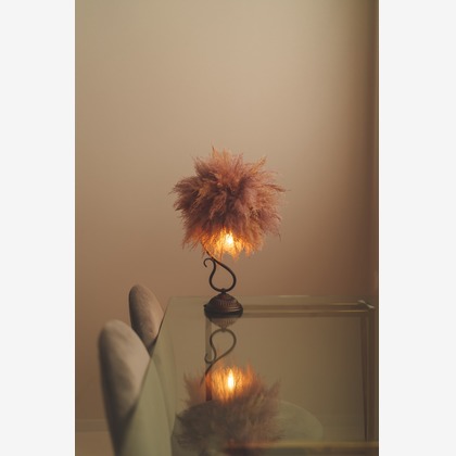 Studio&Gallery Analog　佐伯写真館が撮影した店舗/オフィス/サロン撮影の写真