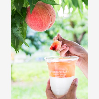 出張撮影TLaboが撮影した「:albumName」の写真