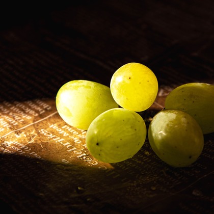 MTワークスが撮影した料理撮影/商品/物撮りの写真