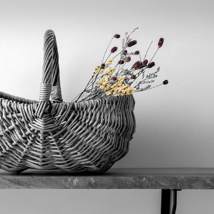 Yoppegraphy Photographic Serviceが撮影した「:albumName」の写真