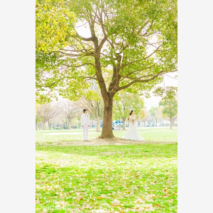 oが撮影したウェディングや家族、ビジネスの写真