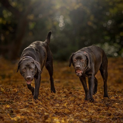 梅田　紫邑が撮影したその他の写真