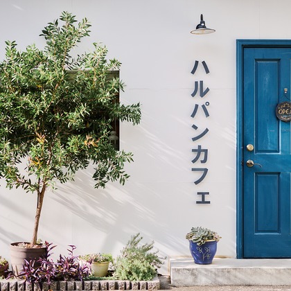 Shun Kanazawaが撮影した「:albumName」の写真