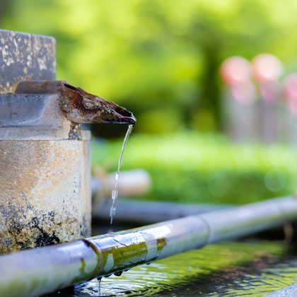 長竹　進吾が撮影した「:albumName」の写真