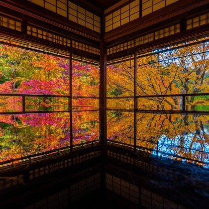 あなたの写真館が撮影した「風景写真など」の写真