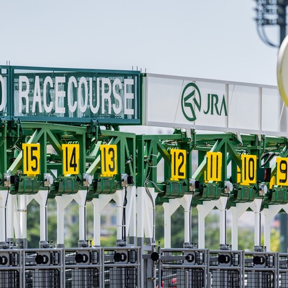 長竹　進吾が撮影した「:albumName」の写真