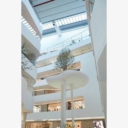 倉木ノエルが撮影した「:albumName」の写真