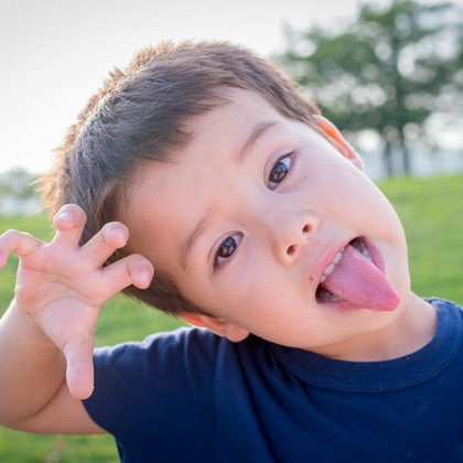 （有）カラーフィールドが撮影した「:albumName」の写真