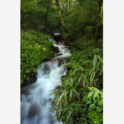 手塚隆弘が撮影したイベント/スナップ撮影の写真