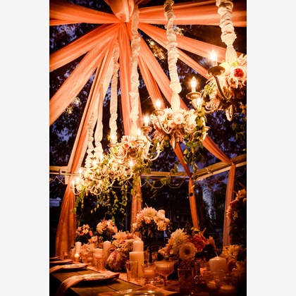 Heritage Bridal Collectionが撮影したウェディングや家族、ビジネスの写真