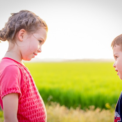 （有）カラーフィールドが撮影した「:albumName」の写真