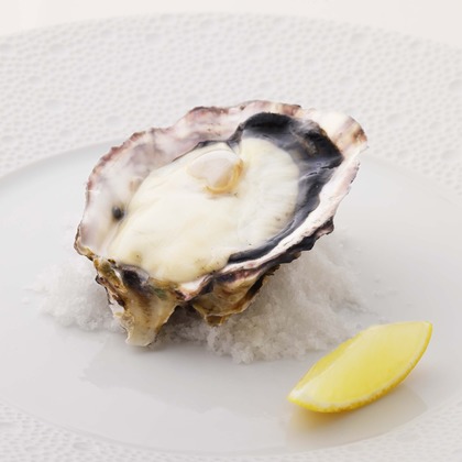 森安　照が撮影した「:albumName」の写真