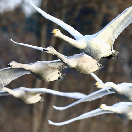 TATEZOUが撮影したイベント/スナップ撮影の写真