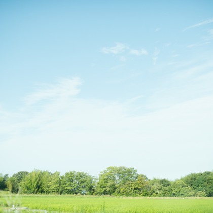 Photo of :albumName taken by Katakura Photo Office