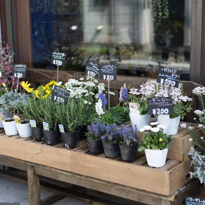 三浦希衣子が撮影した店舗/オフィス/サロン撮影/商品/物撮りの写真