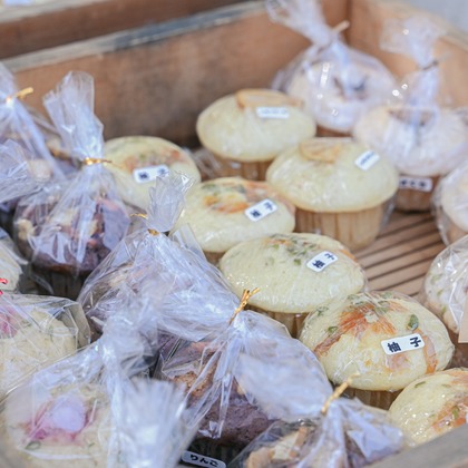 ムラカミカズマが撮影したイベント/スナップ撮影の写真