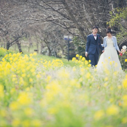 Photo of Spring Japan taken by Takano Kazuki