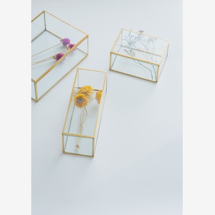 Yoppegraphy Photographic Serviceが撮影した「:albumName」の写真