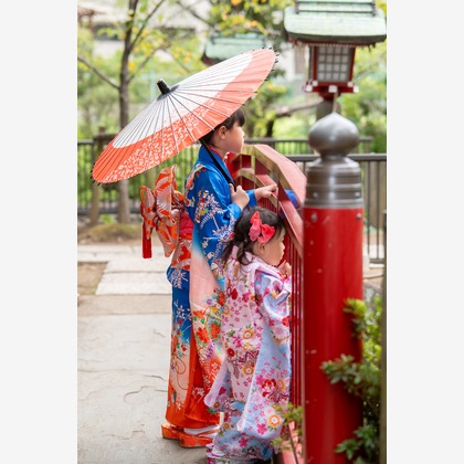 ARUKU PHOTOが撮影した「:albumName」の写真