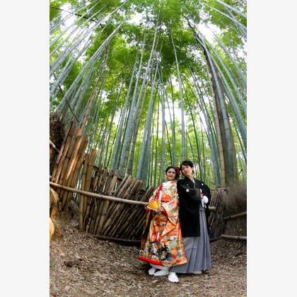 Photo of :albumName taken by Smilehunter