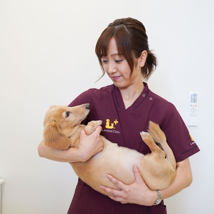 出張撮影くろめっとが撮影した「:albumName」の写真